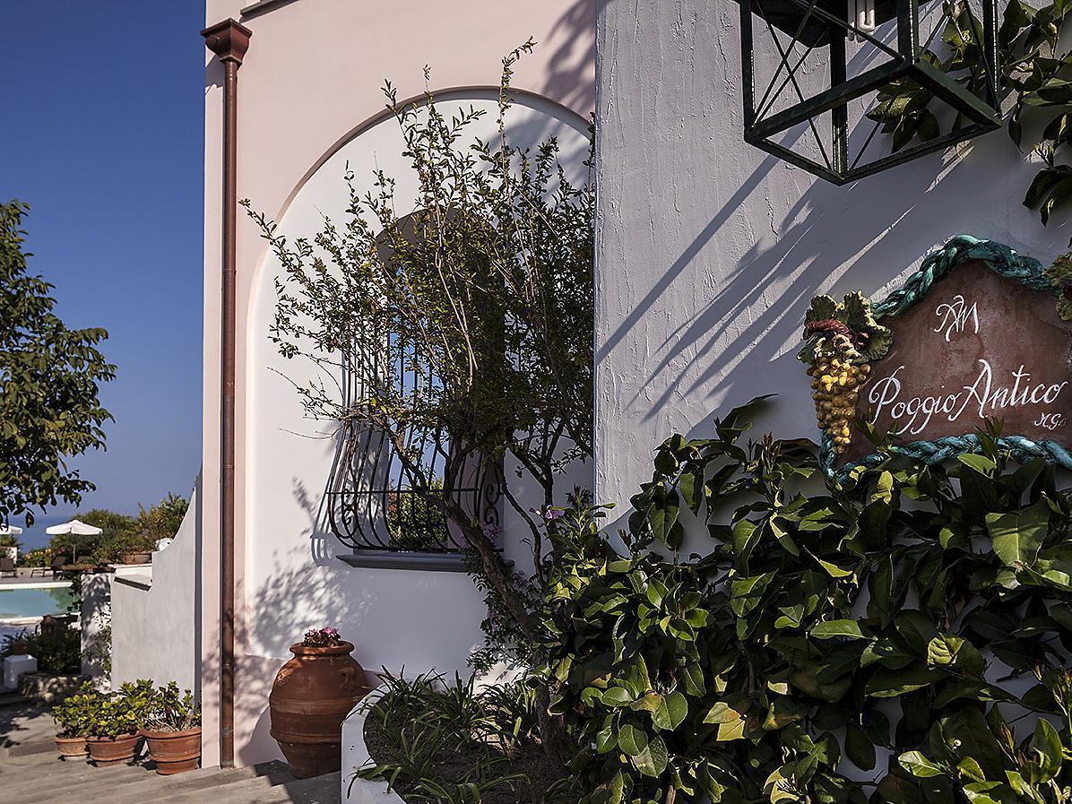 Tenuta Del Poggio Antico Otel Forio di Ischia Dış mekan fotoğraf