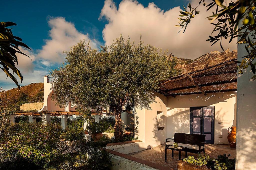 Tenuta Del Poggio Antico Otel Forio di Ischia Oda fotoğraf